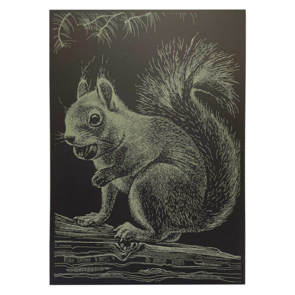 Гравюра А4 "Білка" ГрА4-1з економ варіант в пакеті 29,7х21 см (ГрА4-1з)