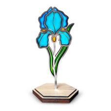 Набір для вітражного живопису за номерами "Ніжний ірис" FDSGK-013 (FDSGK-013)