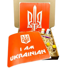 Набір для малювання по тканині "I Am Ukrainian, Тризуб" paint-n064-n059 (paint-n064-n059)