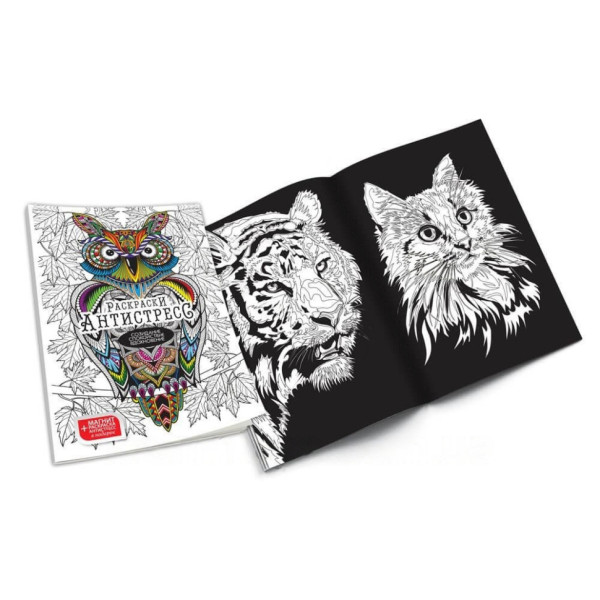 Раскраски Антистресс "Сова" RA-02-01U без фломастеров(RA-02-01U)