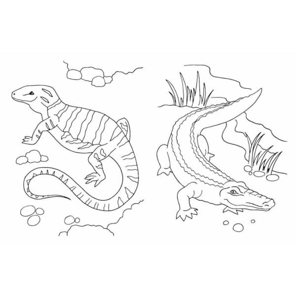 Большая книга раскрасок Животные 1736031, 64 страницы(1736031)