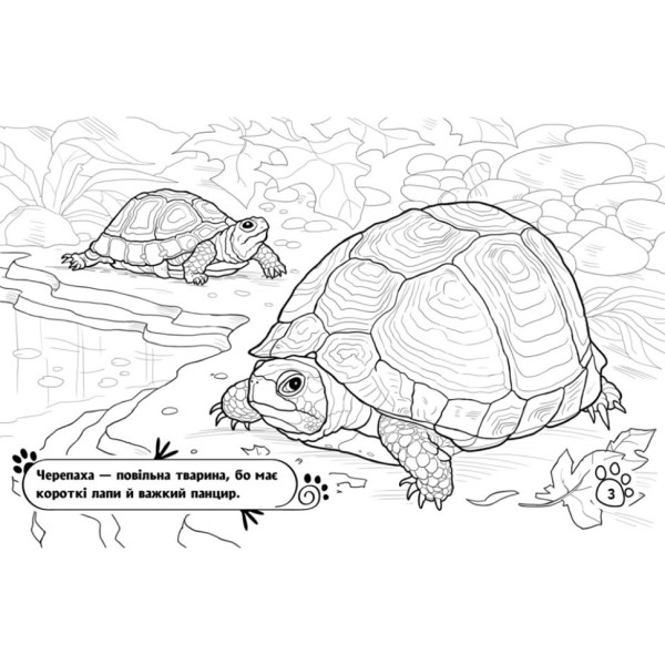 Детская раскраска "Животные в доме" 583010, 16 страниц(583010)