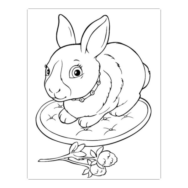 Большая книга раскрасок "Для малышей" 1736003, 64 страницы(1736003)