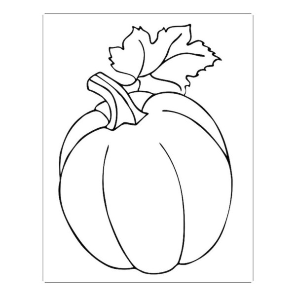 Большая книга раскрасок "Для малышей" 1736003, 64 страницы(1736003)