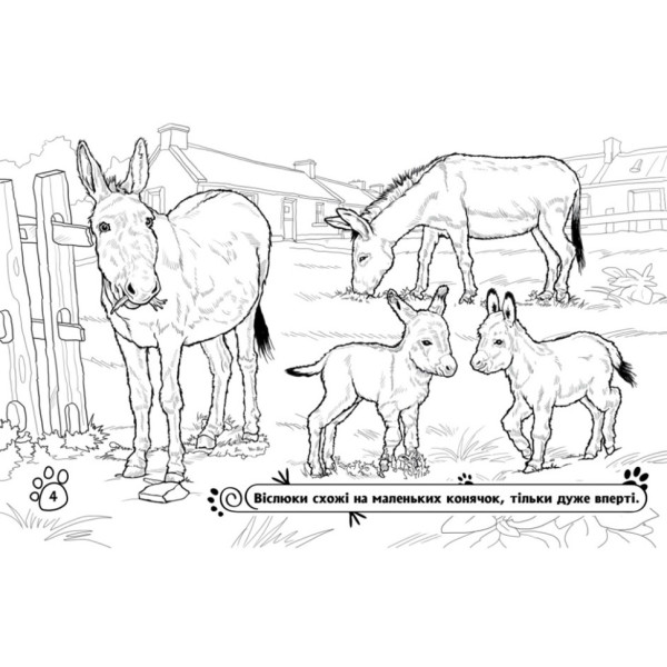 Детская раскраска "Животные на ферме" 583011, 16 страниц(583011)