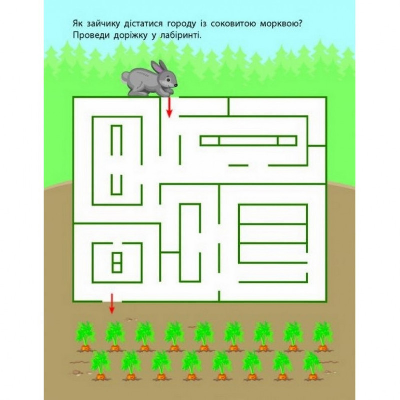 Детская книга "Лабиринты-прятки" АРТ 17204 укр