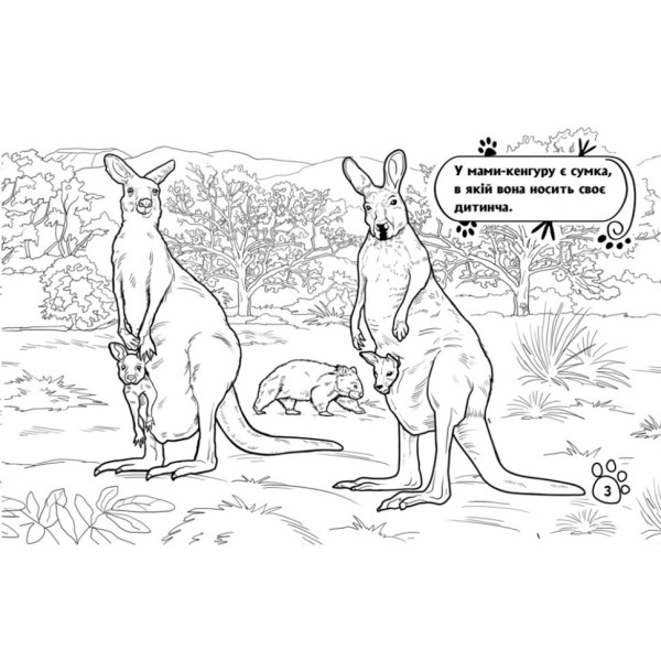 Детская раскраска "Животные в дальних краях" 583009, 16 страниц(583009)