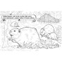 Дитяча розмальовка "Тварини у лісі" 583012, 16 сторінок