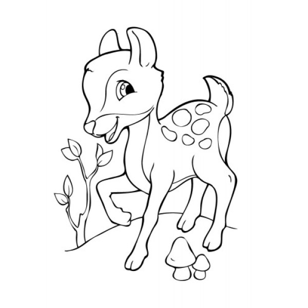 Детская раскраска "Посмотри и раскрась: Зверушки" 628008(628008)