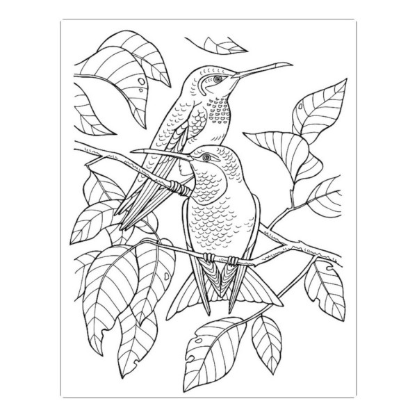 Большая книга раскрасок "Девочки и цветы" 1736004, 64 страницы(1736004)