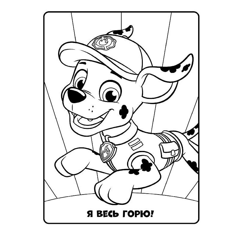Книжка-раскраска Щенячий патруль "Вместе мы сила!" 228006 на укр. языке