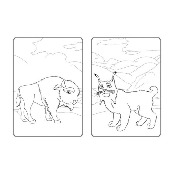 Раскраска Магия цвета. Вселенная Мавки Ранок 1807001 с наклейками(1807001)