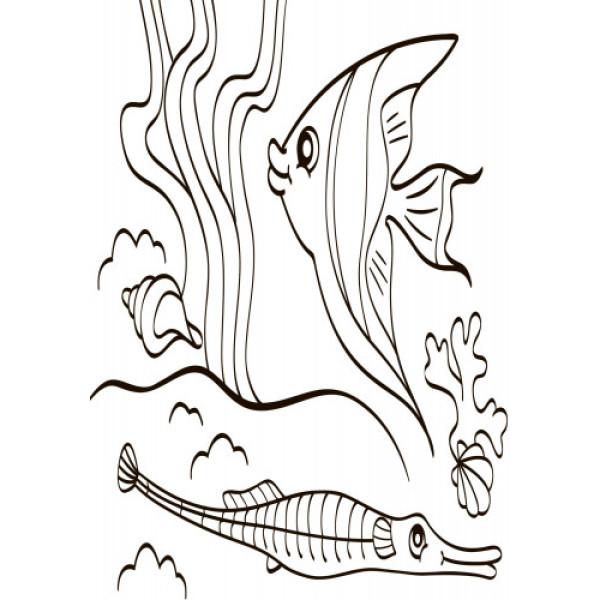 Детская водная раскраска : Море 734010, 8 страниц