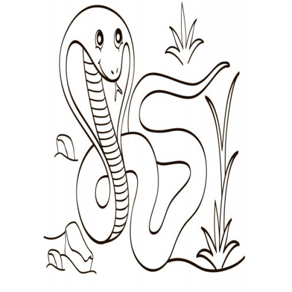 Дитяча водна розмальовка: Екзотичні тварини 734012, 8 сторінок (734012)