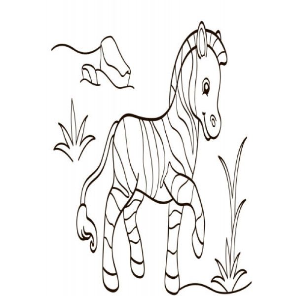 Дитяча водна розмальовка: Екзотичні тварини 734012, 8 сторінок (734012)