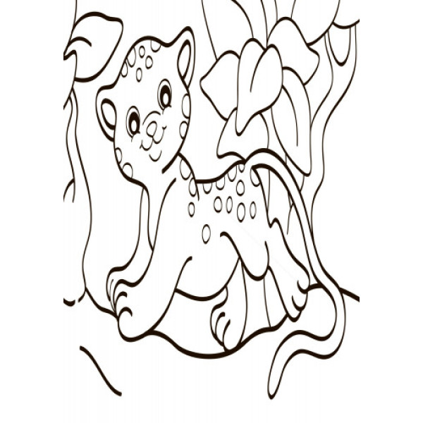 Дитяча водна розмальовка: Екзотичні тварини 734012, 8 сторінок (734012)