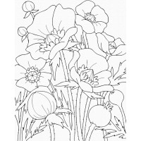 Роспись на холсте. Art Craft "Маки" 25х30 см 15506-AC
