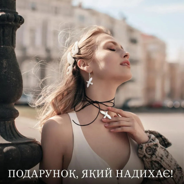 Большой набор для создания украшений "Птицы" GL-008 из пластической глины(GL-008)