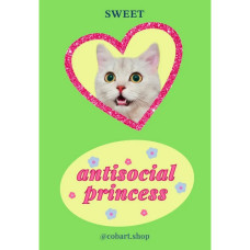 Дитячий стікерпак А6 3D Sweet СS-3D-057 на вініловій основі (СS-3D-057)