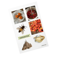 Дитячий стікерпак А6 3D Hedonism СS-VS-007 на вініловій основі (СS-VS-007)