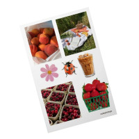 Дитячий стікерпак А6 Jun sun СS-VS-008 на вініловій основі (СS-VS-008)