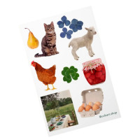 Детский стикерпак А6 Holiday joy СS-VS-015 на виниловой основе(СS-VS-015)