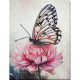 Набір для вишивання бісером "Пелюстковий сон" AB-927 на натуральному холсті  (AB-927)