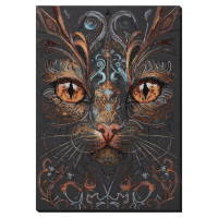 Набір для вишивання бісером "Погляд чаклунки" AB-900 43х30 см (AB-900)