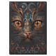 Набір для вишивання бісером "Погляд чаклунки" AB-900 43х30 см (AB-900)