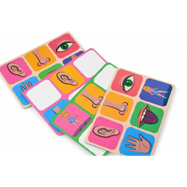 Дитяче лото "Органи чуття" 2279-UM 4 поля, 48 фішок (2279-UM)