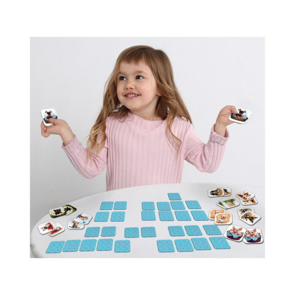 Настольная детская игра Меморы «Кошки против собак» ME5032-24, 48 карт (ME5032-24)
