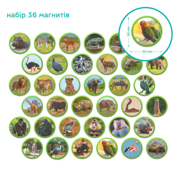 Дитячий магнітний набір Монтесорі "Тварини на континентах: Африка" 200284, 36 елементів (200284)
