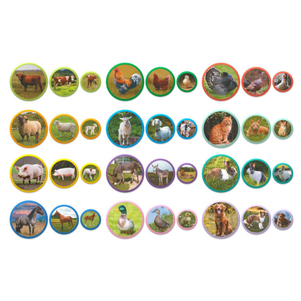 Дитячий магнітний набір Монтесорі "Родини тварин: ферма" 200271, 36 елементів (200271)