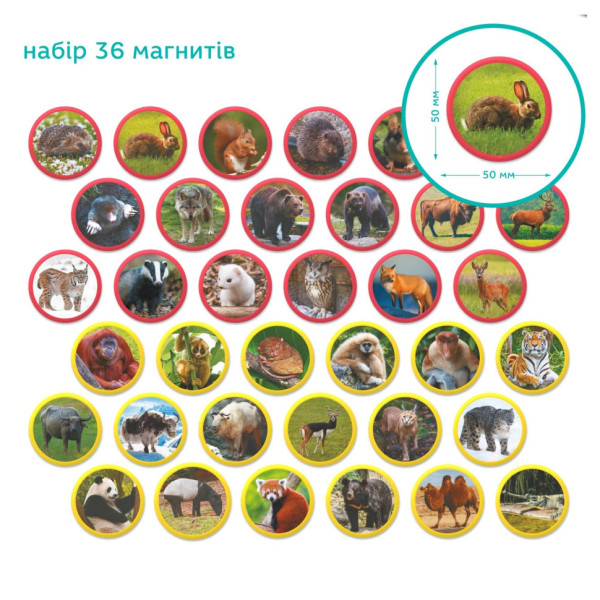 Дитячий магнітний набір Монтесорі "Тварини на континентах: Євразія" 200285, 36 елементів                                (200285)