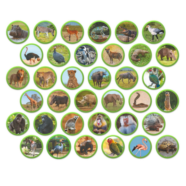 Детский магнитный набор Монтессори "Животные на континентах: Африка" 200284, 36 элементов (200284)
