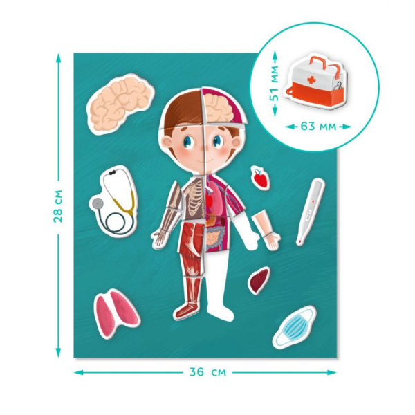 Розвиваюча магнітна гра "Людське тіло" DoDo 200220 (200220)