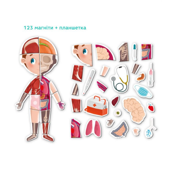 Розвиваюча магнітна гра "Людське тіло" DoDo 200220 (200220)