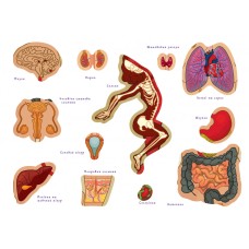 Дитяча навчальна гра з багаторазовими наклейками "Тіло людини" KP-004y укр. мовою