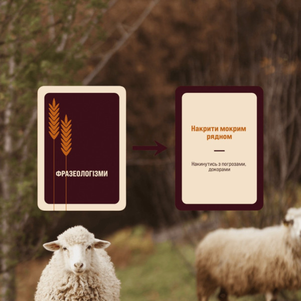 Гра настільна Гра слів MemoGames 0013MG 180 карток, 4 категорії (0013MG)