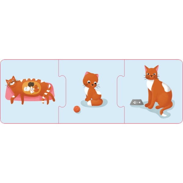 Логічні ланцюжки "Тварини та рослини. Етапи розвитку" 1782003 українською мовою (1782003)