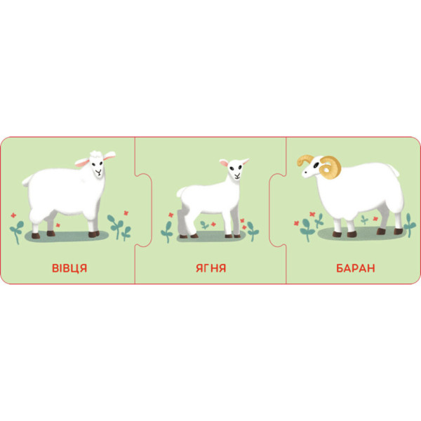 Логічні ланцюжки "Малюки тварини та їхні сім'ї" 1782001 українською мовою (1782001)