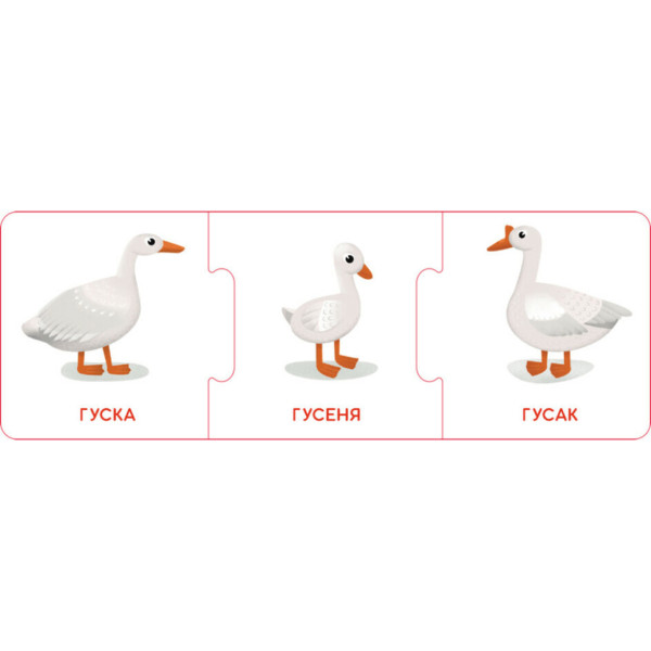 Логічні ланцюжки "Малюки тварини та їхні сім'ї" 1782001 українською мовою (1782001)