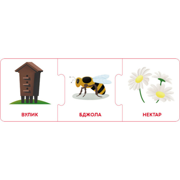 Логічні ланцюжки "Світ тварин. Хто де живе і що їсть" 1782002 українською мовою (1782002)