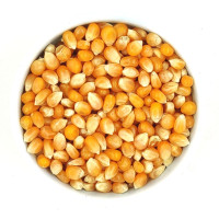 Кукуруза для попкорна CornStar, 1 кг Украина (corn1)