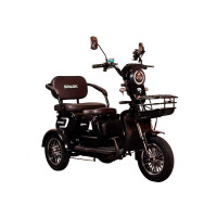 Трицикл с электромотором 1000w, 60В, 20А/час, Spark Ride Арт.252073