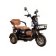 Трицикл с электромотором 1000w, 60В, 20А/час, Spark Ride Арт.252073