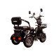 Трицикл с электромотором 1000w, 60В, 20А/час, Spark Ride Арт.252073