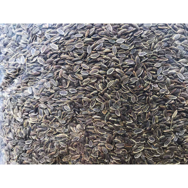 Спеції (приправа) Насіння кропу 1 кг