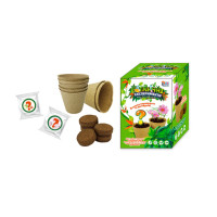 Ботанічні експерименти 77861 ґрунт, насіння, папір (77861)