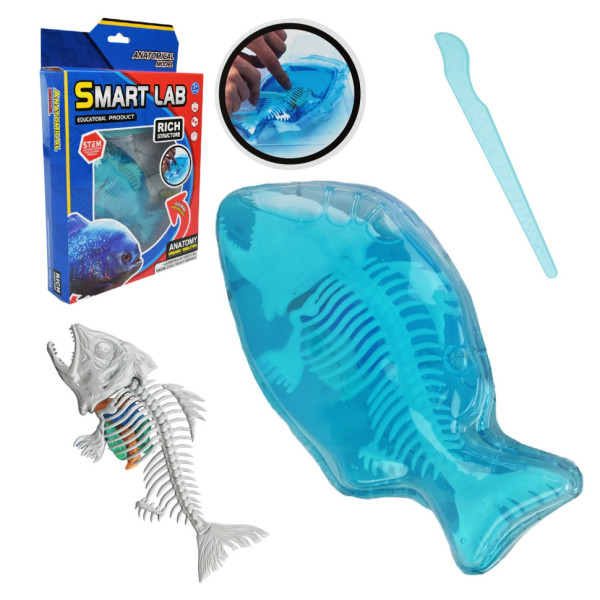 Дитячий лабораторнний набір "Піран’я" 802B, скелет, внутрішні органи (802B-A)